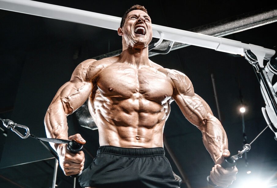 Bodybuilding and Fitness Aesthetics