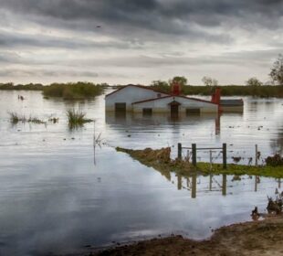 Ocala Hurricane Idalia